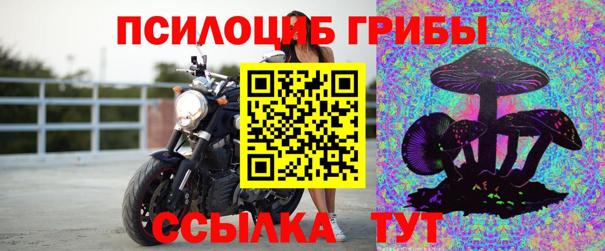 Псилоцибиновые грибы мицелий Абинск