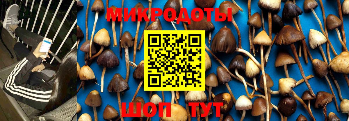 Абинск  Галлюциногенные грибы прущие грибы  наркошоп  Вход с VPN 